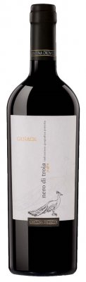 Cantina Diomede Canace Nero di Troia 2021/22