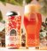 Vault City Brewing